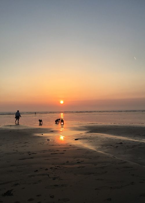 A summer in North Devon: my 10 favourite places