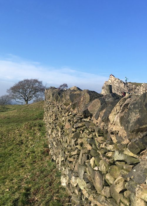 On the joy of coming home