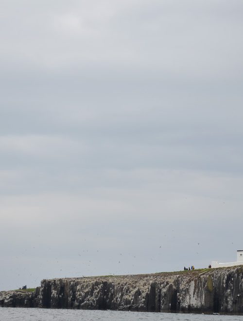 Castles, beaches and second hand books: a two day mini adventure to Northumberland by public transport