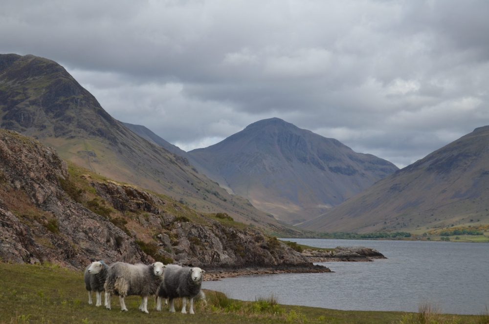 Wastwater The Lake District