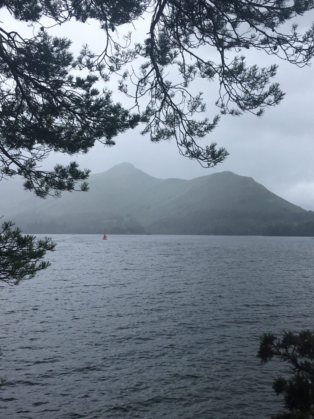 Cat Bells in the rain