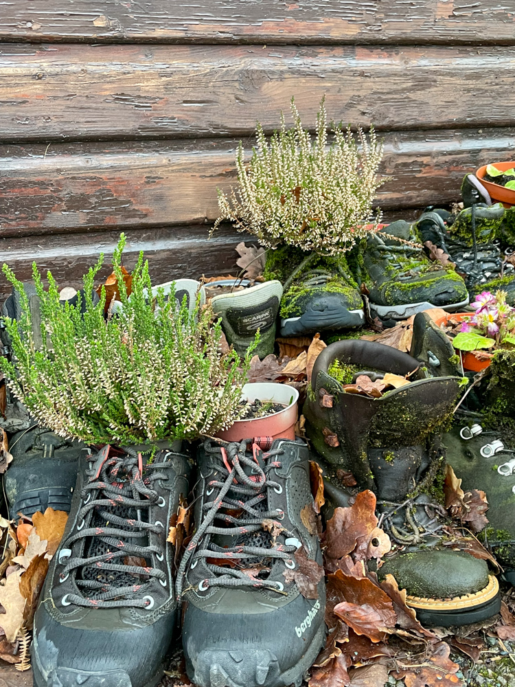 A Car Free Budget trip to YHA Borrowdale North Lake District