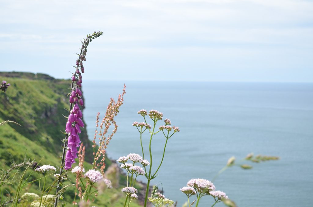 Walking the Cumbria Coast Path from Whitehaven to St Bees