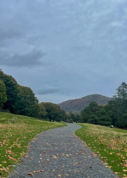 Easy Walks in the Lake District: Newby Bridge to Lakeside along the West Windermere Way 